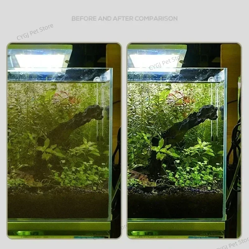 เครื่องมือทําความสะอาดถังปลาแบ - Aquarium Marine Sand บทวิจารณ์และราคา
