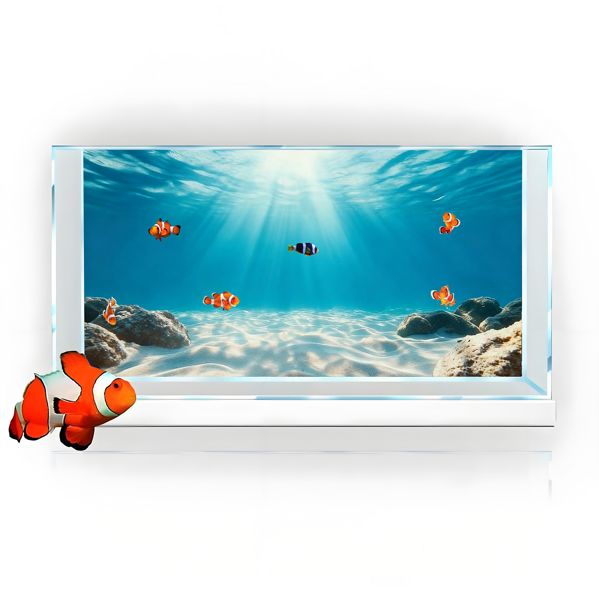 ทรายสีฟ้าใส ภาพวาดพื้นหลังตู้ป - Aquarium Marine Sand บทวิจารณ์และราคา