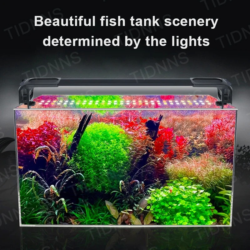 พิพิธภัณฑ์สัตว์น้ําไฟ LED พืชเ - Marine Aquarium Led บทวิจารณ์และราคา
